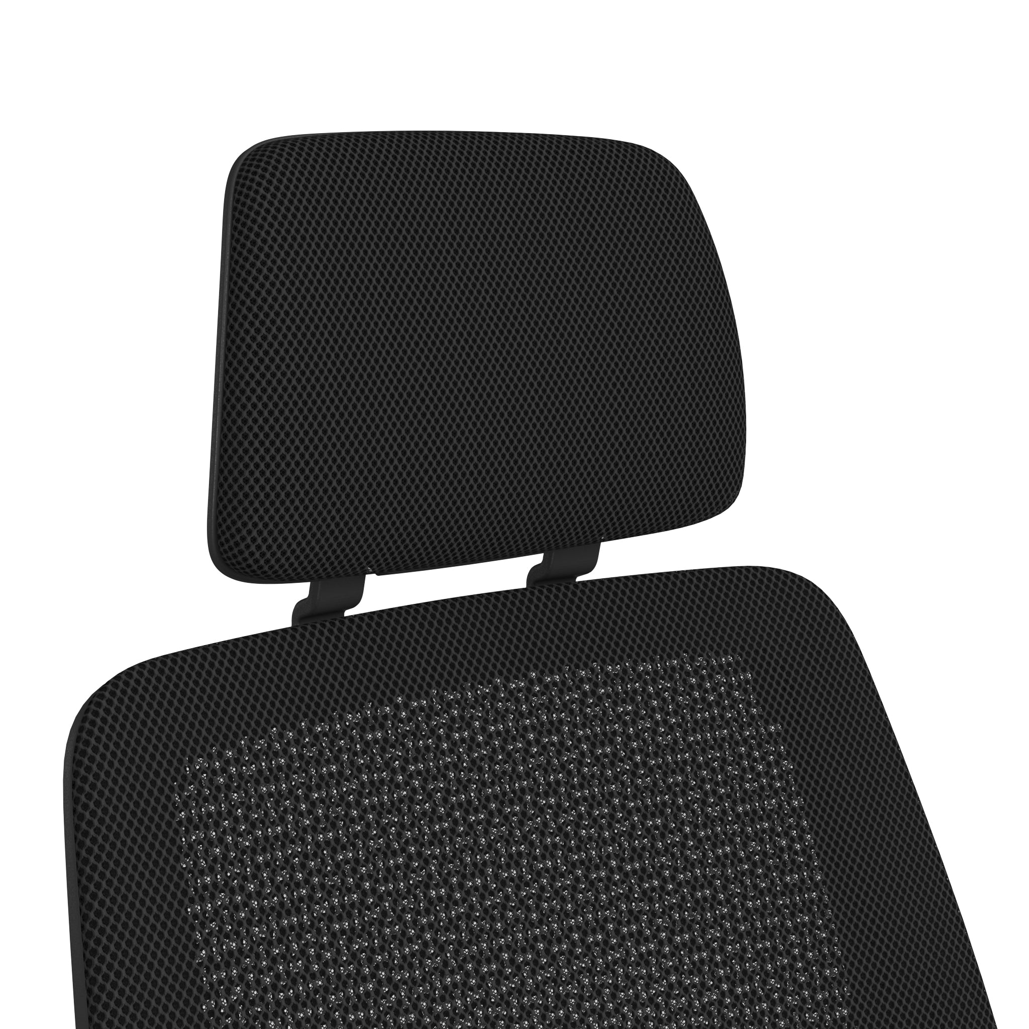 リコリス ; ブラックフレーム