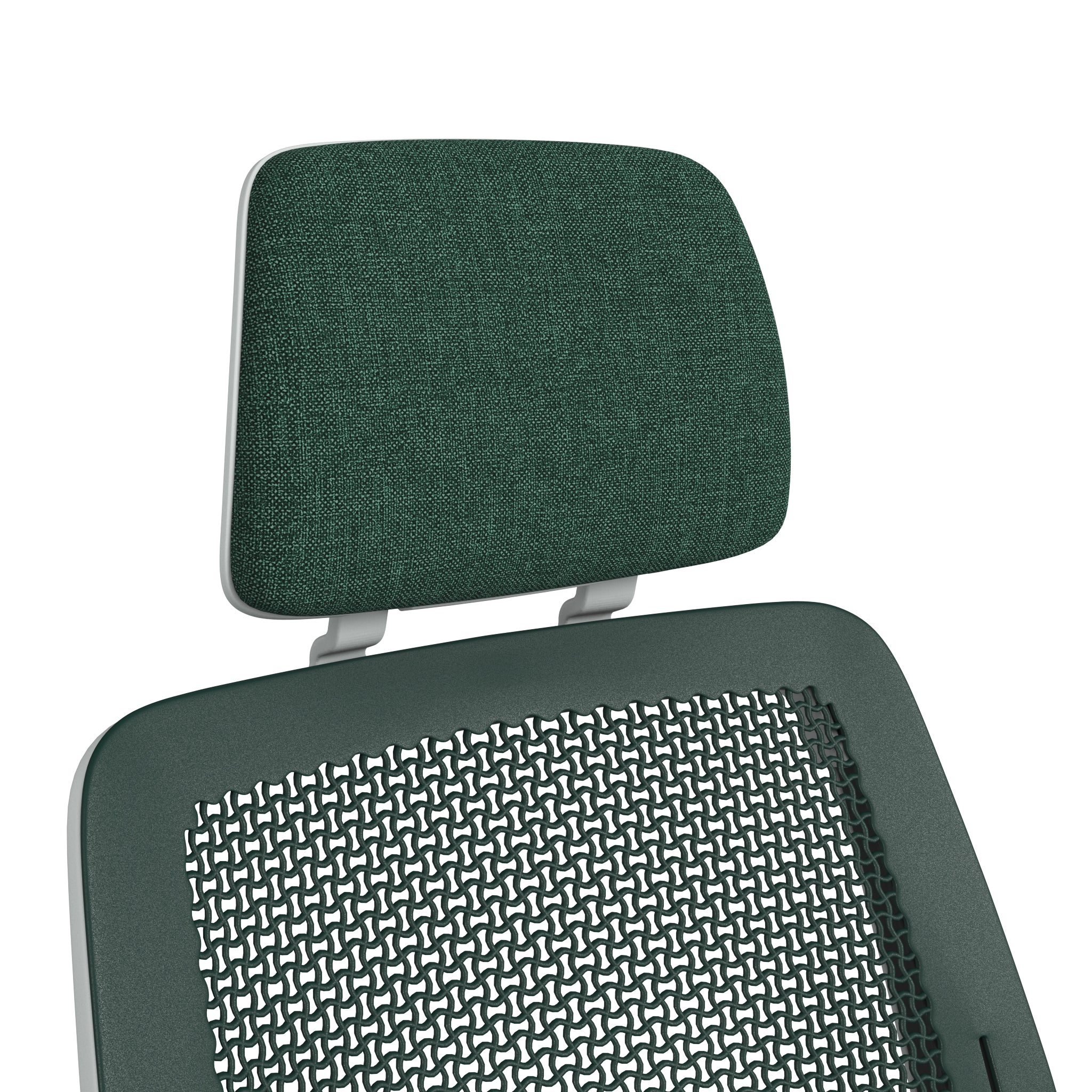 ピーコック ; シーガル フレーム