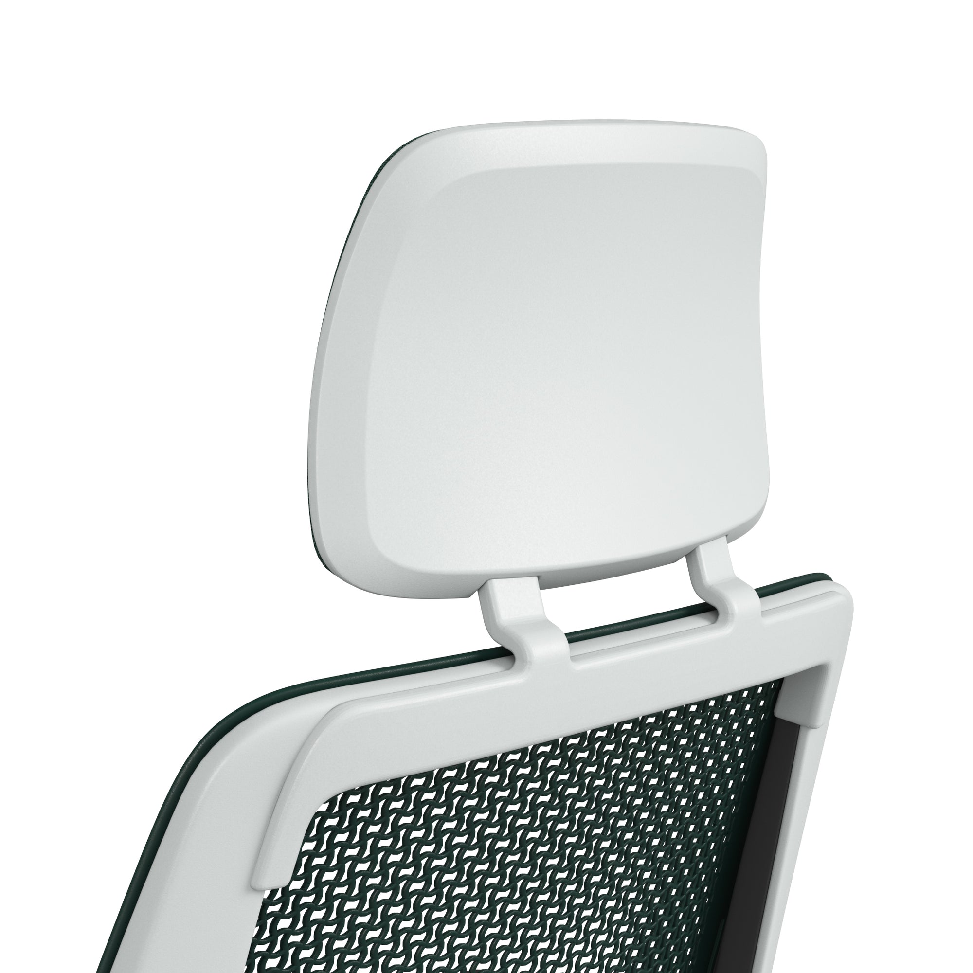 ピーコック ; シーガル フレーム