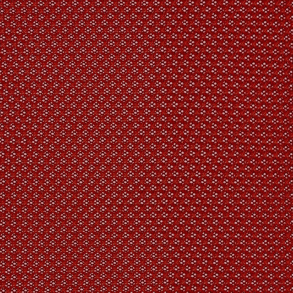 スカーレット；シーガルフレーム 6053