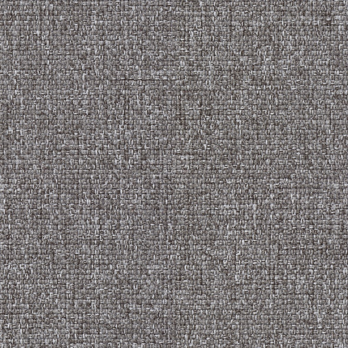 ナイトアウル ; シーガルフレーム